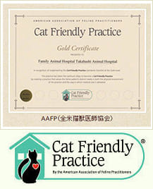 Cat Frieendly Practice