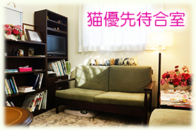 ネコ専用待合室