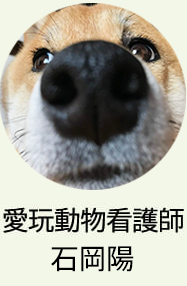 愛玩動物看護師　石岡陽
