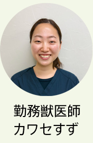 勤務獣医師　カワセすず