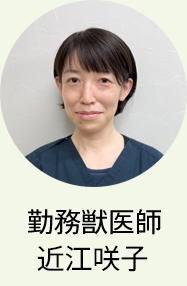 勤務獣医師　近江咲子