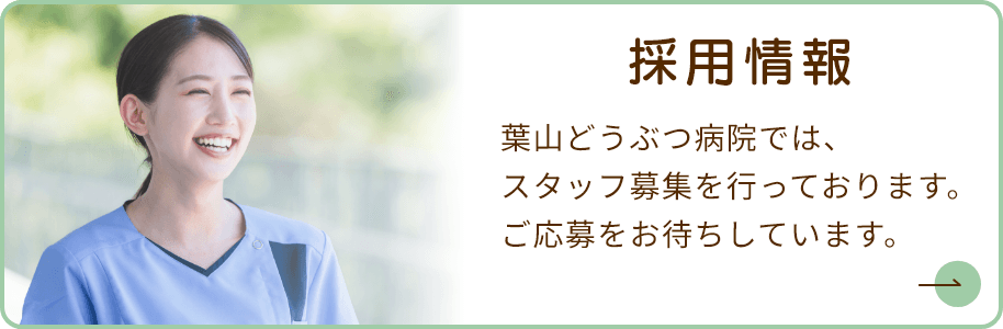 採用情報　葉山どうぶつ病院では、スタッフ募集を行っております。ご応募をお待ちしています。