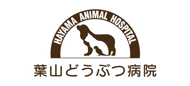 葉山・逗子・鎌倉の動物病院なら葉山どうぶつ病院｜専門診療から一般診療まで| Hayama Animal Hospital