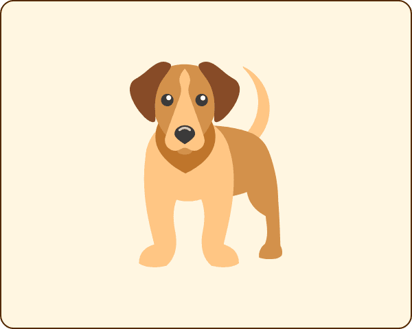犬