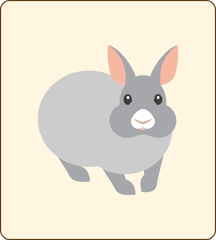 ウサギ