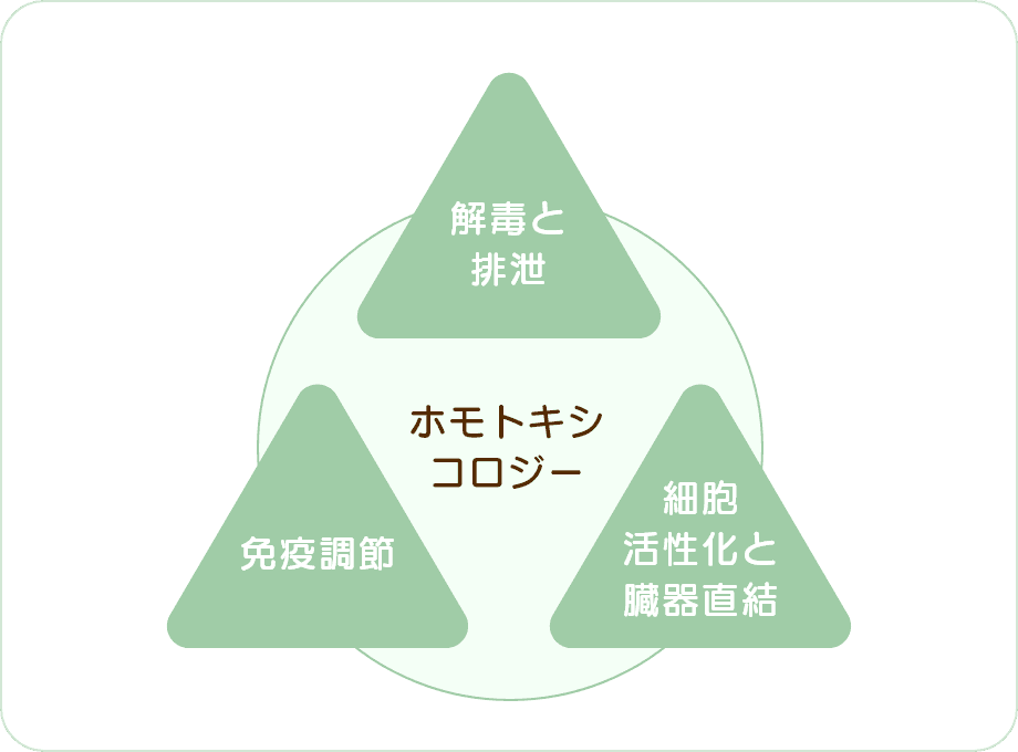 ホモトキシコロジー:解毒と排泄・免疫調節・細胞活性化と臓器直結