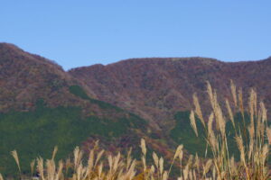 DSC08576