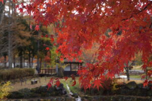 DSC08602