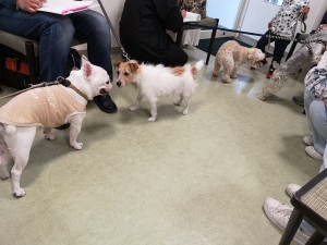IMG_20190207_160300